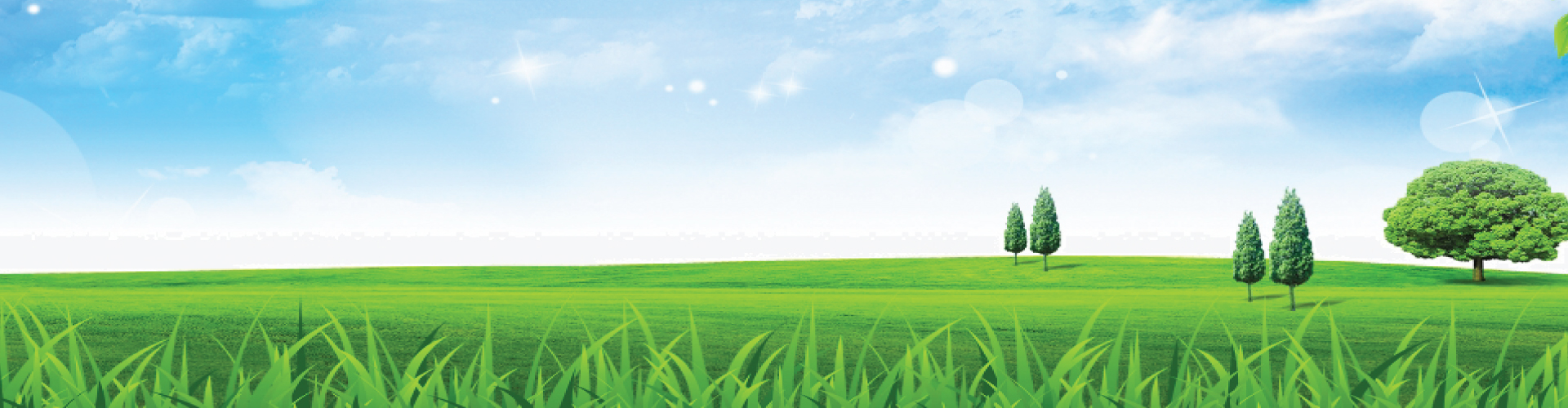 Điều Trị Tâm Lý